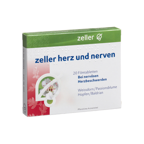 Zellertermesztés – A zeller termesztése, a zeller gondozása, a zeller jótékony hatásai