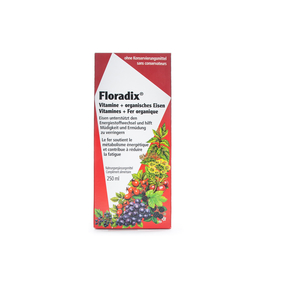 Floradix Original